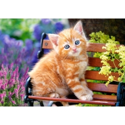 Puzzle Ginger Kitten Kotek 500 el